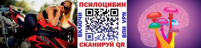 Псилоцибиновые грибы ЛСД  Почеп 