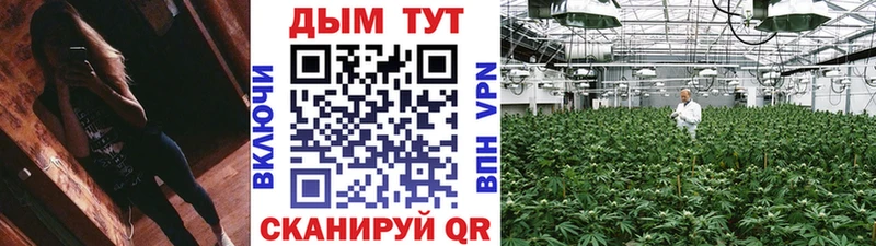 кракен ТОР  Почеп  Конопля индика  купить наркотик 
